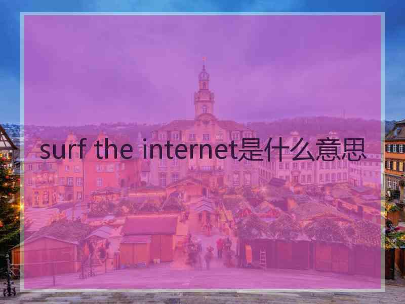 surf the internet是什么意思