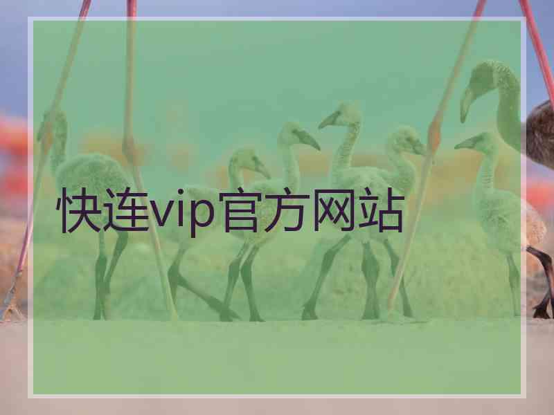 快连vip官方网站