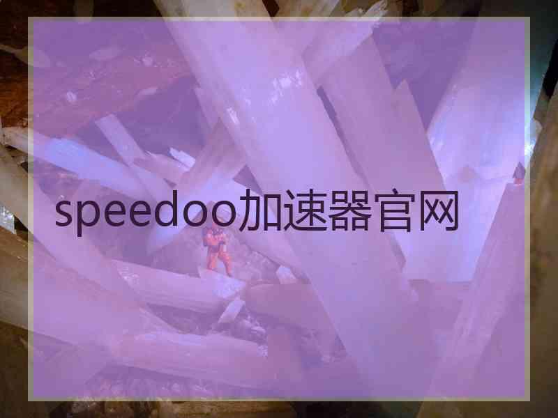 speedoo加速器官网