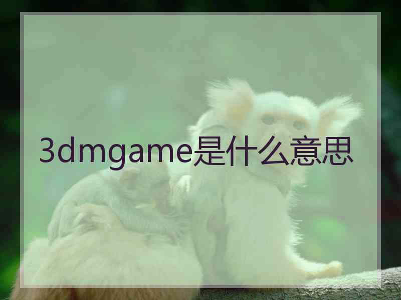 3dmgame是什么意思