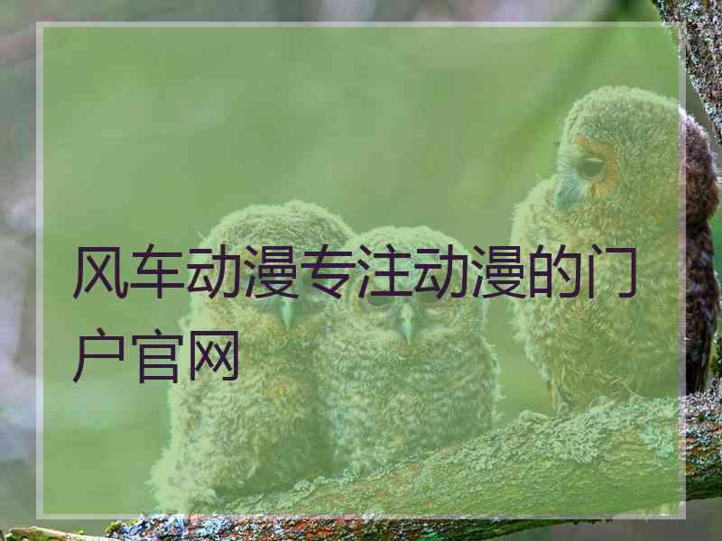 风车动漫专注动漫的门户官网