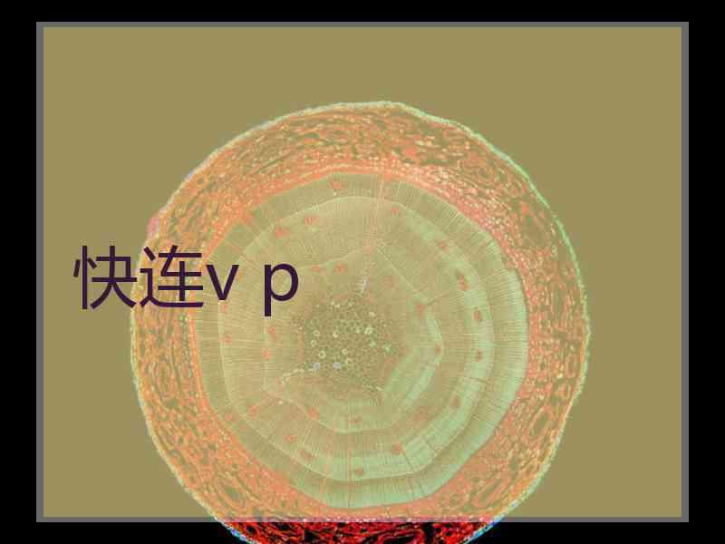 快连v p