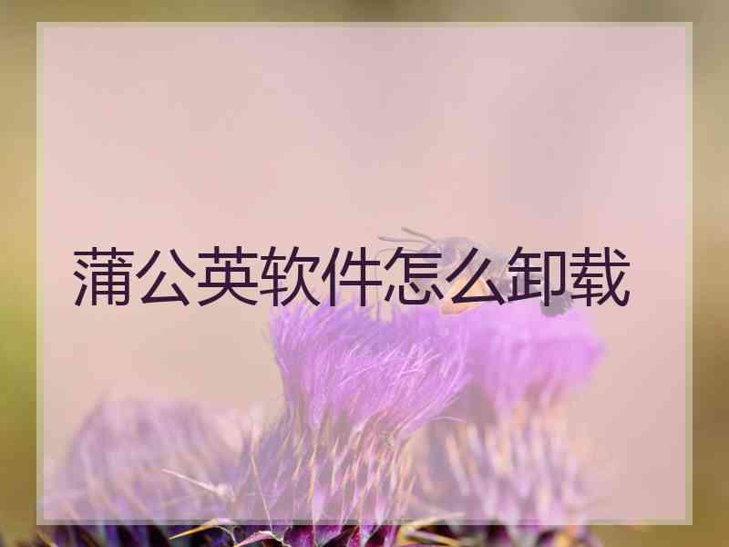 蒲公英软件怎么卸载