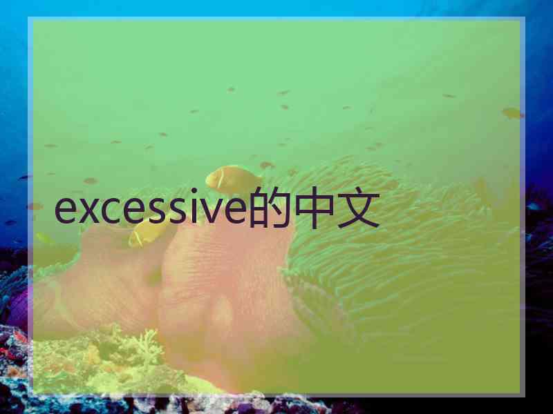 excessive的中文