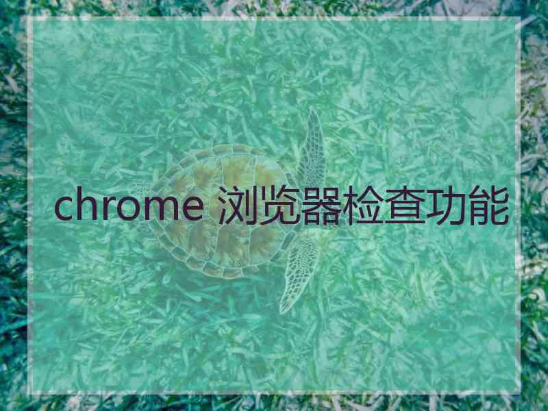 chrome 浏览器检查功能