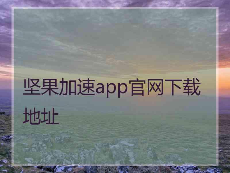 坚果加速app官网下载地址