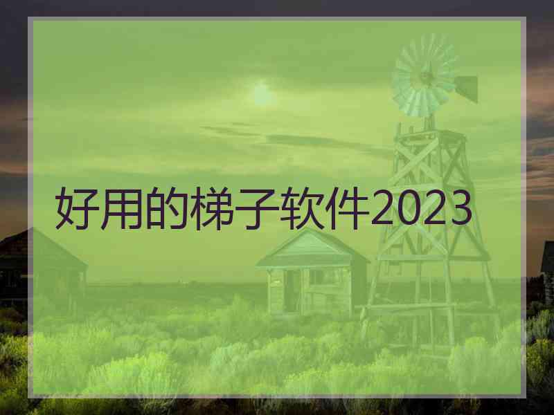 好用的梯子软件2023