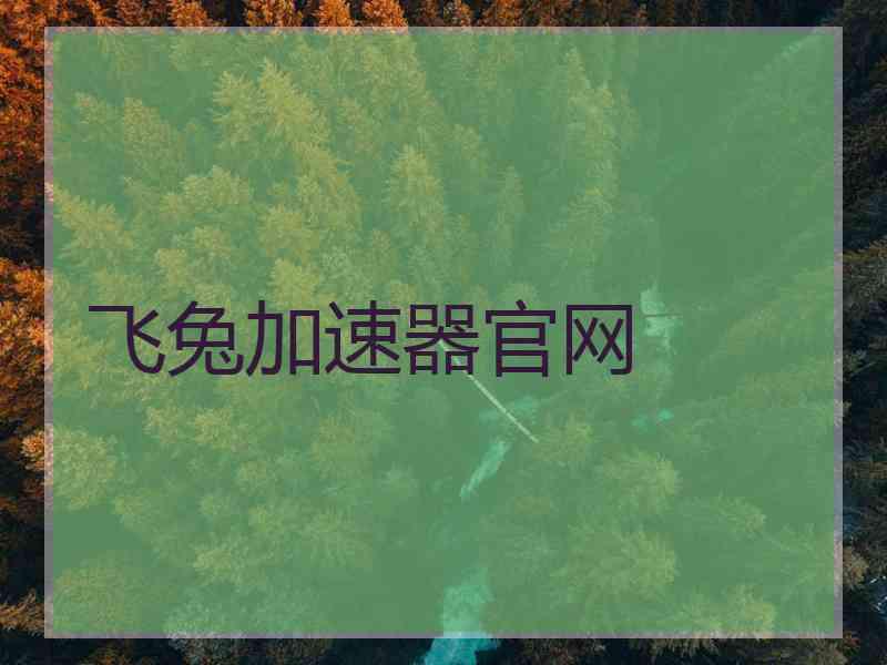 飞兔加速器官网