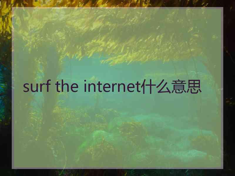 surf the internet什么意思