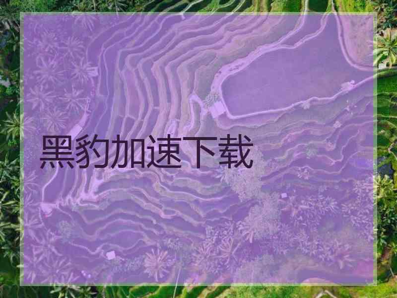 黑豹加速下载