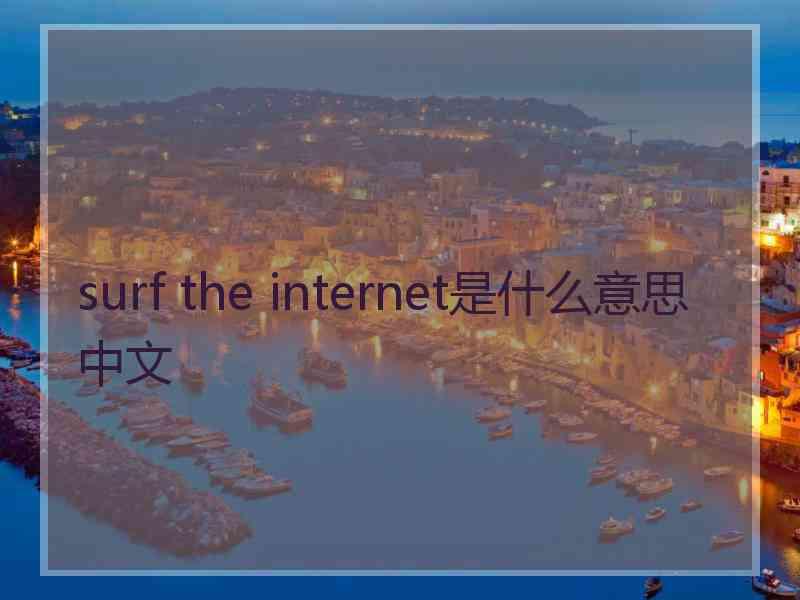 surf the internet是什么意思中文