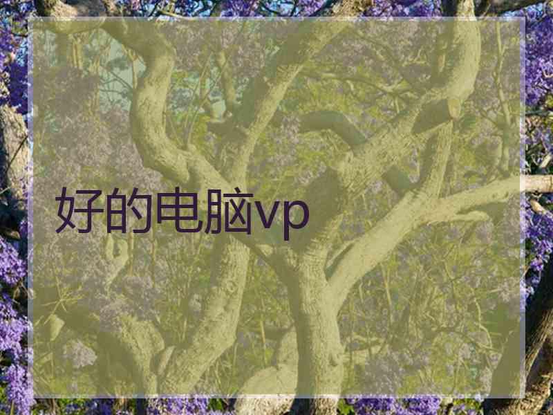 好的电脑vp