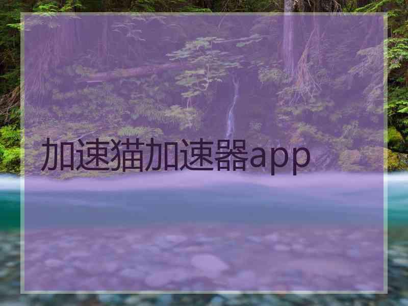 加速猫加速器app