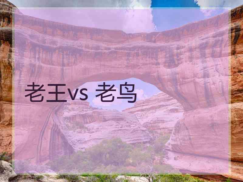 老王vs 老鸟