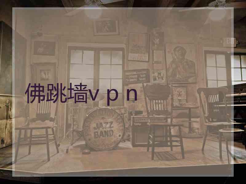 佛跳墙v p n