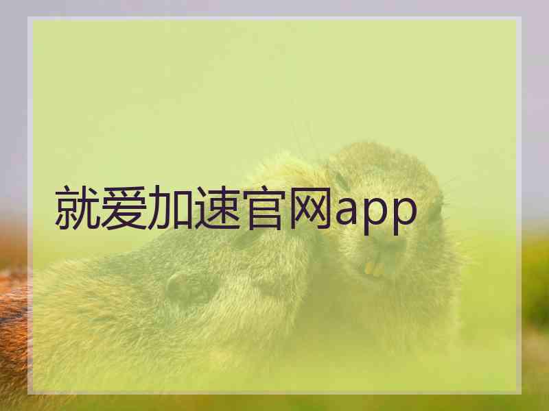 就爱加速官网app