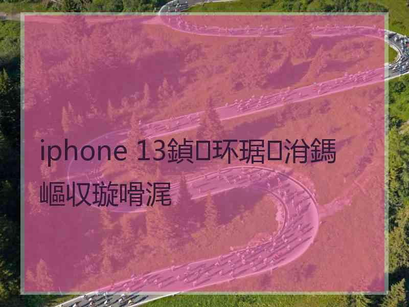 iphone 13鍞环琚洕鎷嶇収璇嗗浘