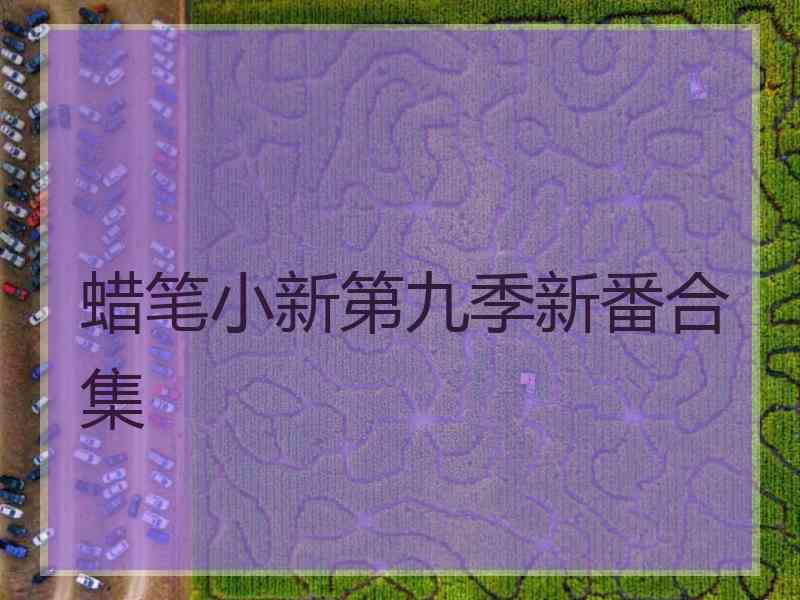 蜡笔小新第九季新番合集