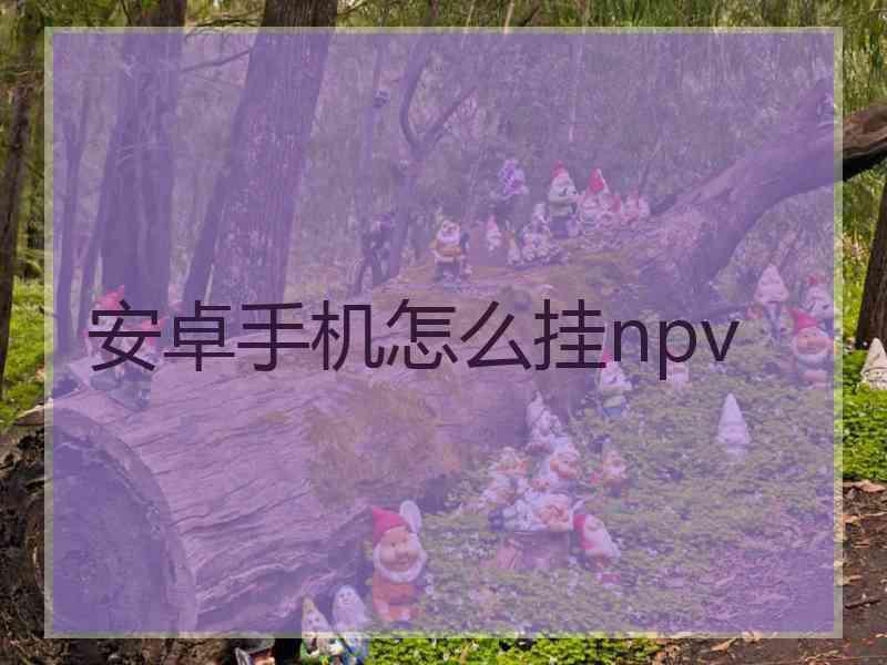 安卓手机怎么挂npv