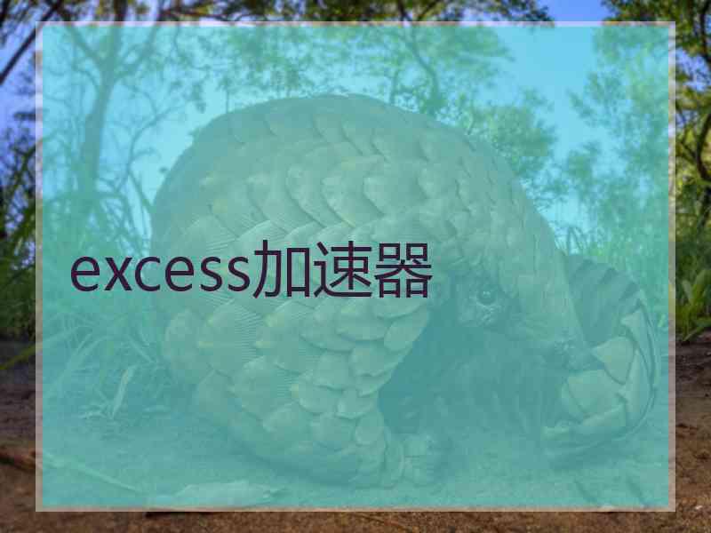 excess加速器