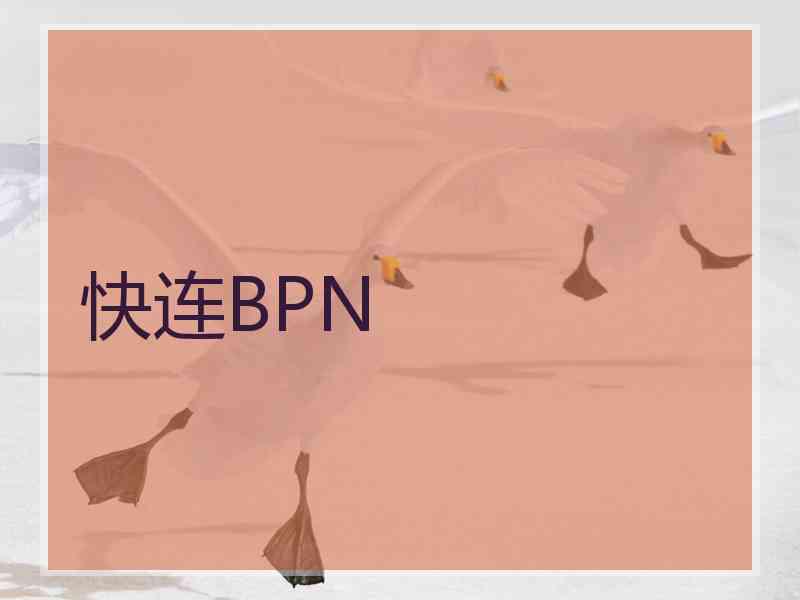 快连BPN