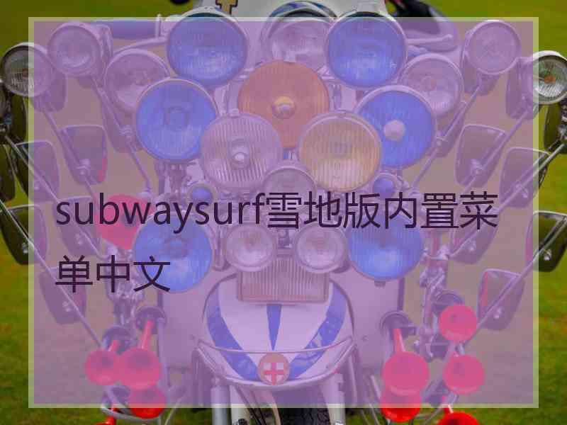 subwaysurf雪地版内置菜单中文