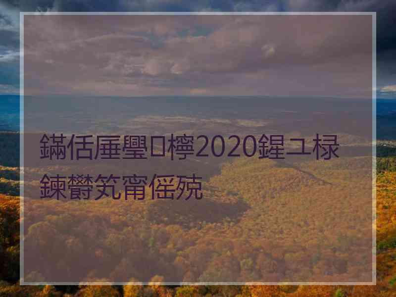 鏋佸厜璺檸2020鍟ユ椂鍊欎笂甯傜殑