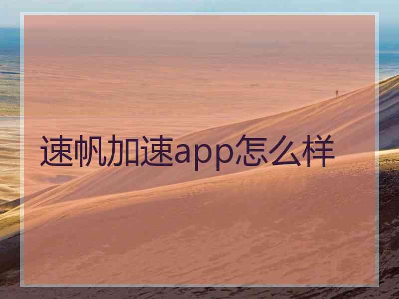 速帆加速app怎么样