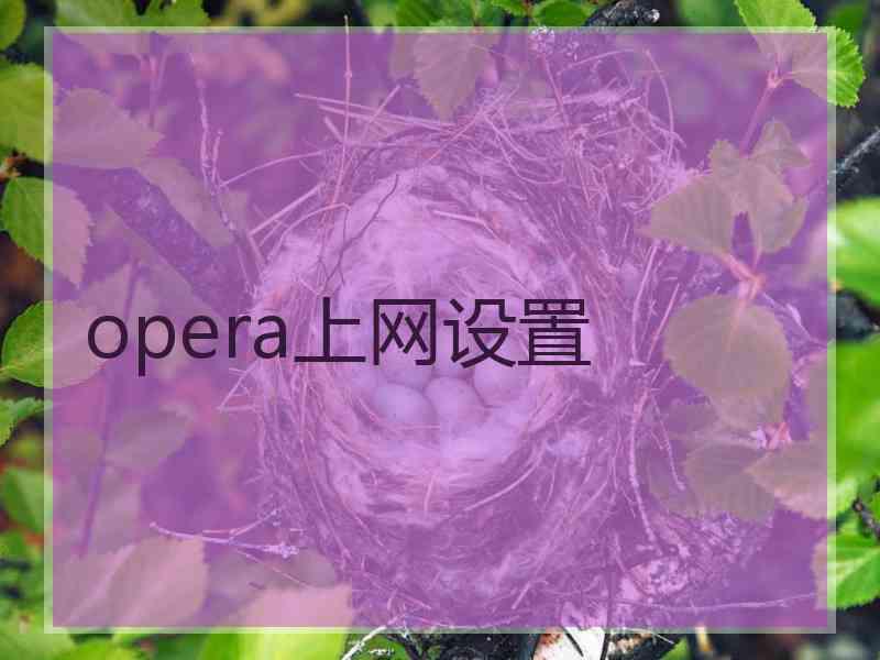 opera上网设置