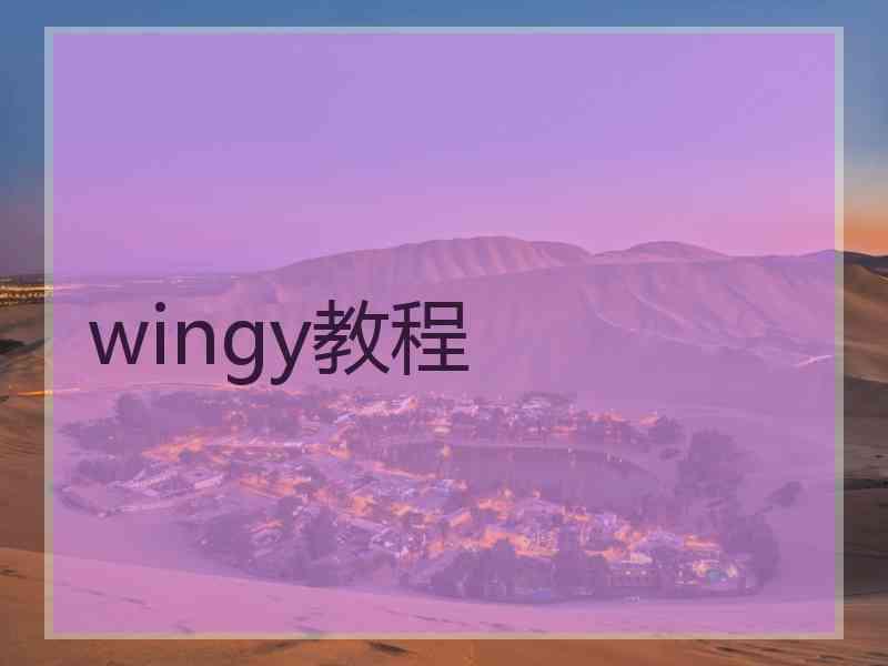 wingy教程