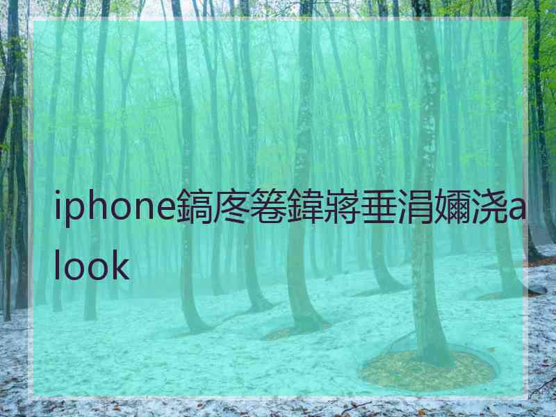 iphone鎬庝箞鍏嶈垂涓嬭浇alook