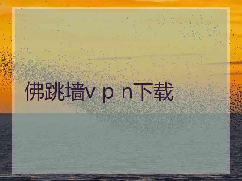 佛跳墙v p n下载