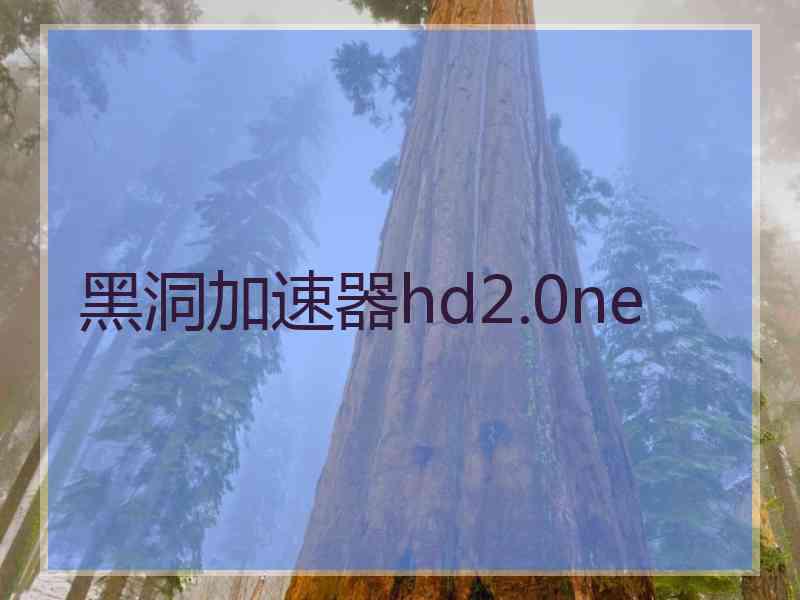 黑洞加速器hd2.0ne