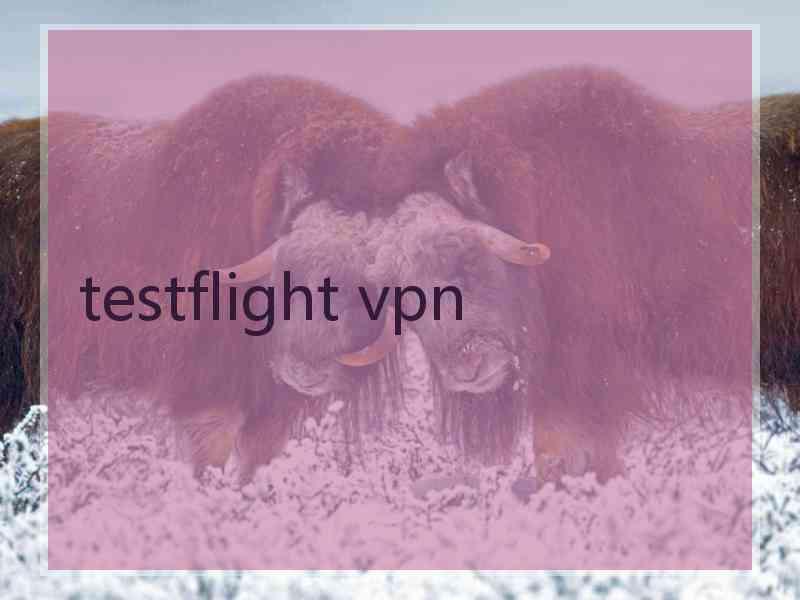 testflight vpn