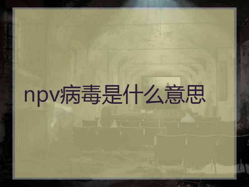 npv病毒是什么意思