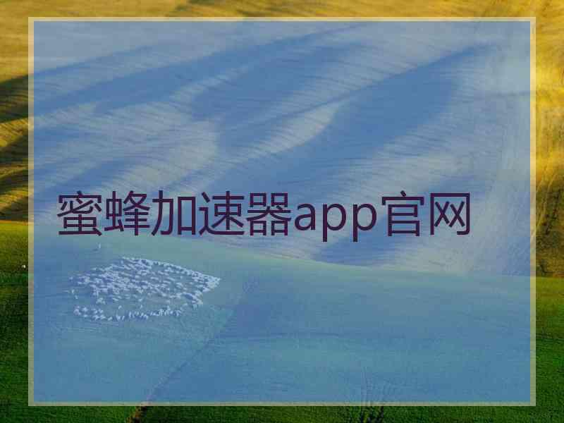 蜜蜂加速器app官网