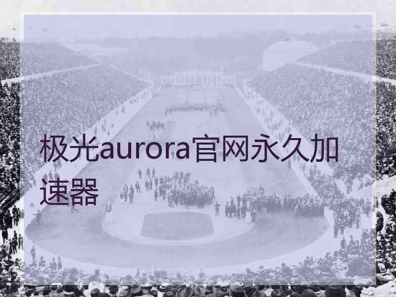 极光aurora官网永久加速器