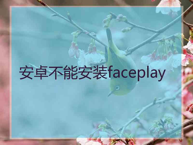 安卓不能安装faceplay