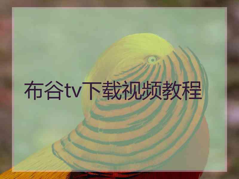 布谷tv下载视频教程