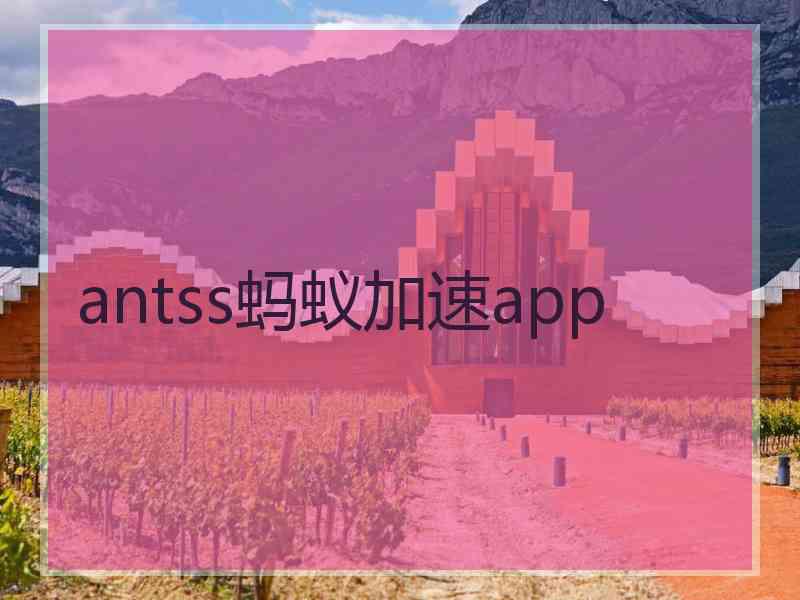 antss蚂蚁加速app