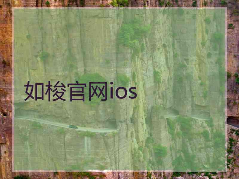 如梭官网ios