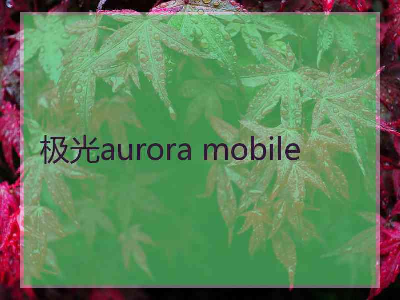 极光aurora mobile