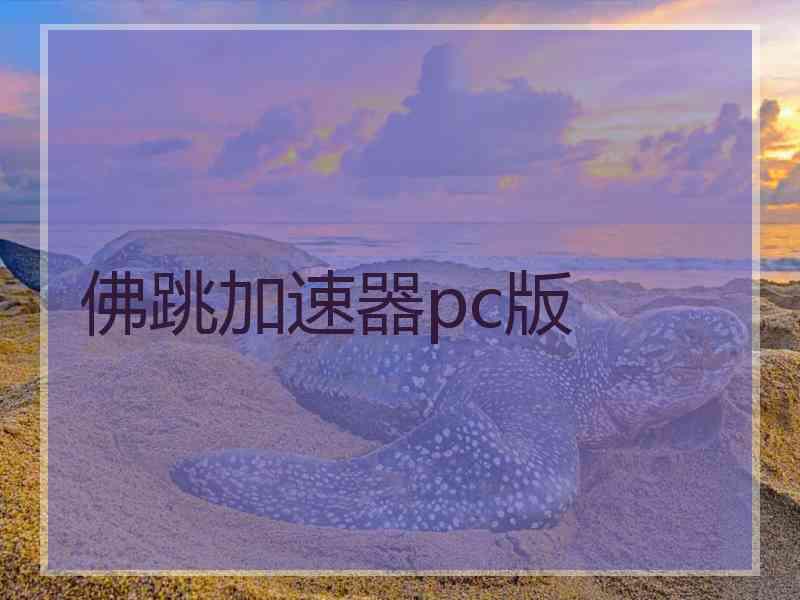 佛跳加速器pc版