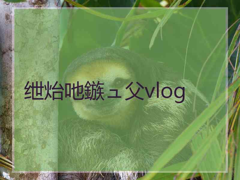 绁炲吔鏃ュ父vlog