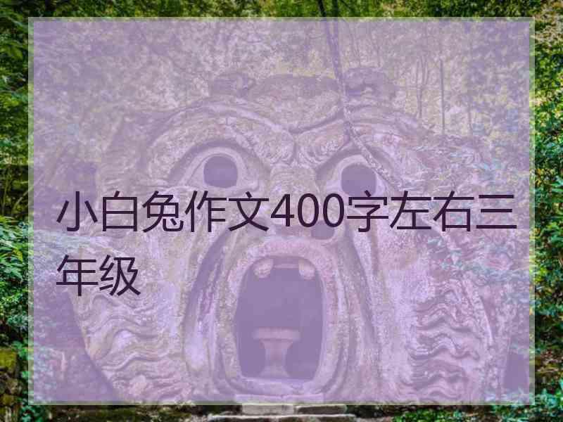 小白兔作文400字左右三年级