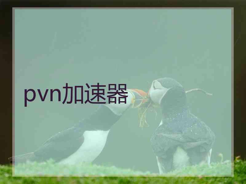 pvn加速器