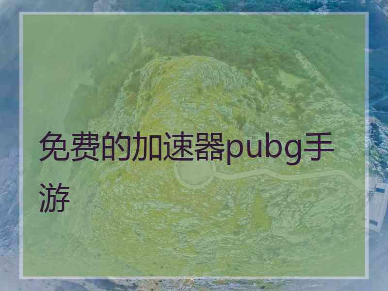 免费的加速器pubg手游