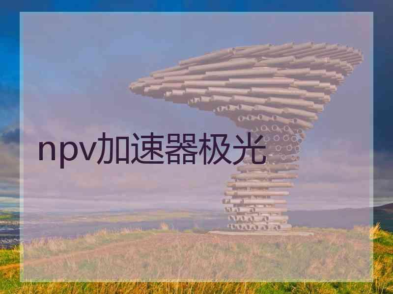 npv加速器极光