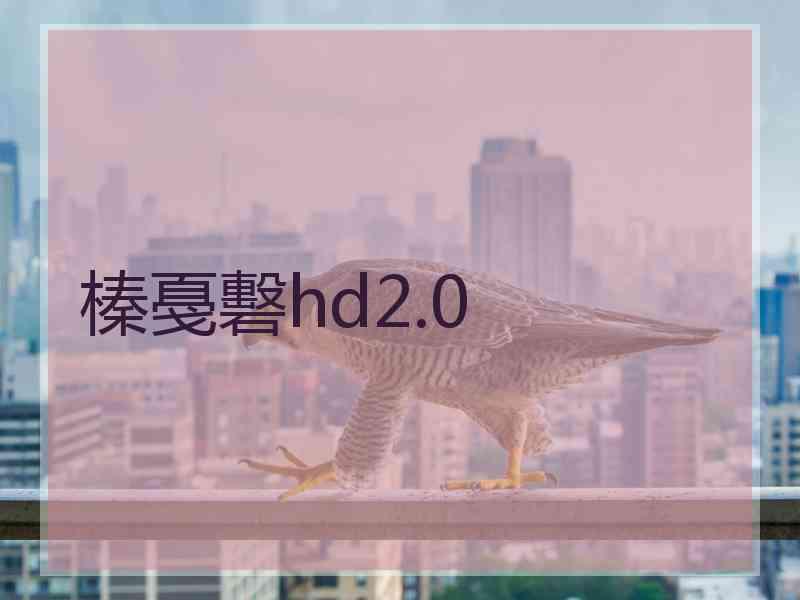 榛戞礊hd2.0