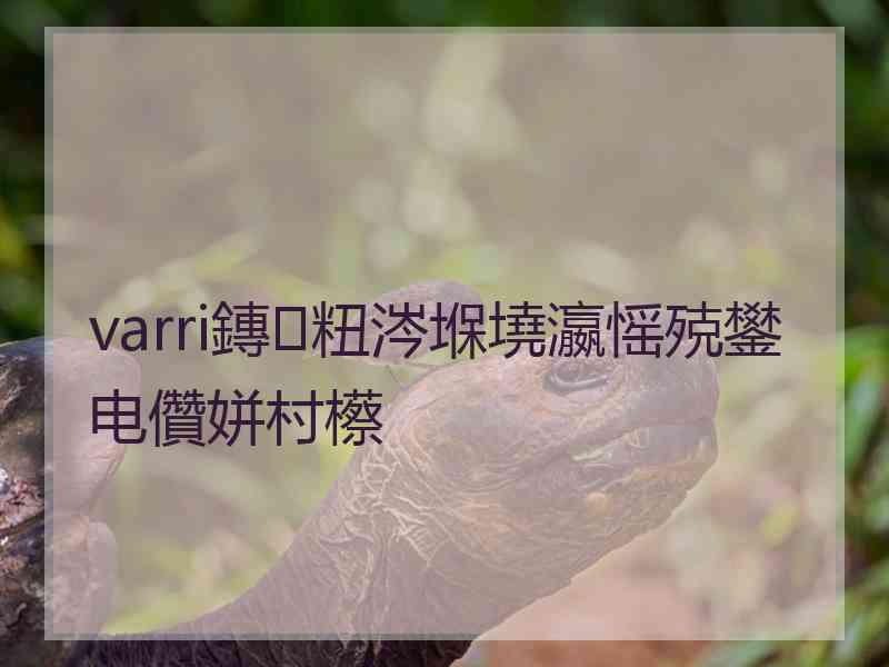 varri鏄粈涔堢墝瀛愮殑鐢电儹姘村櫒